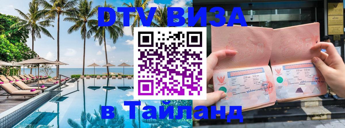 Сколько стоит DTV виза — актуальные цены, оформление даже без документов - Новосибирск  22.11.2025 